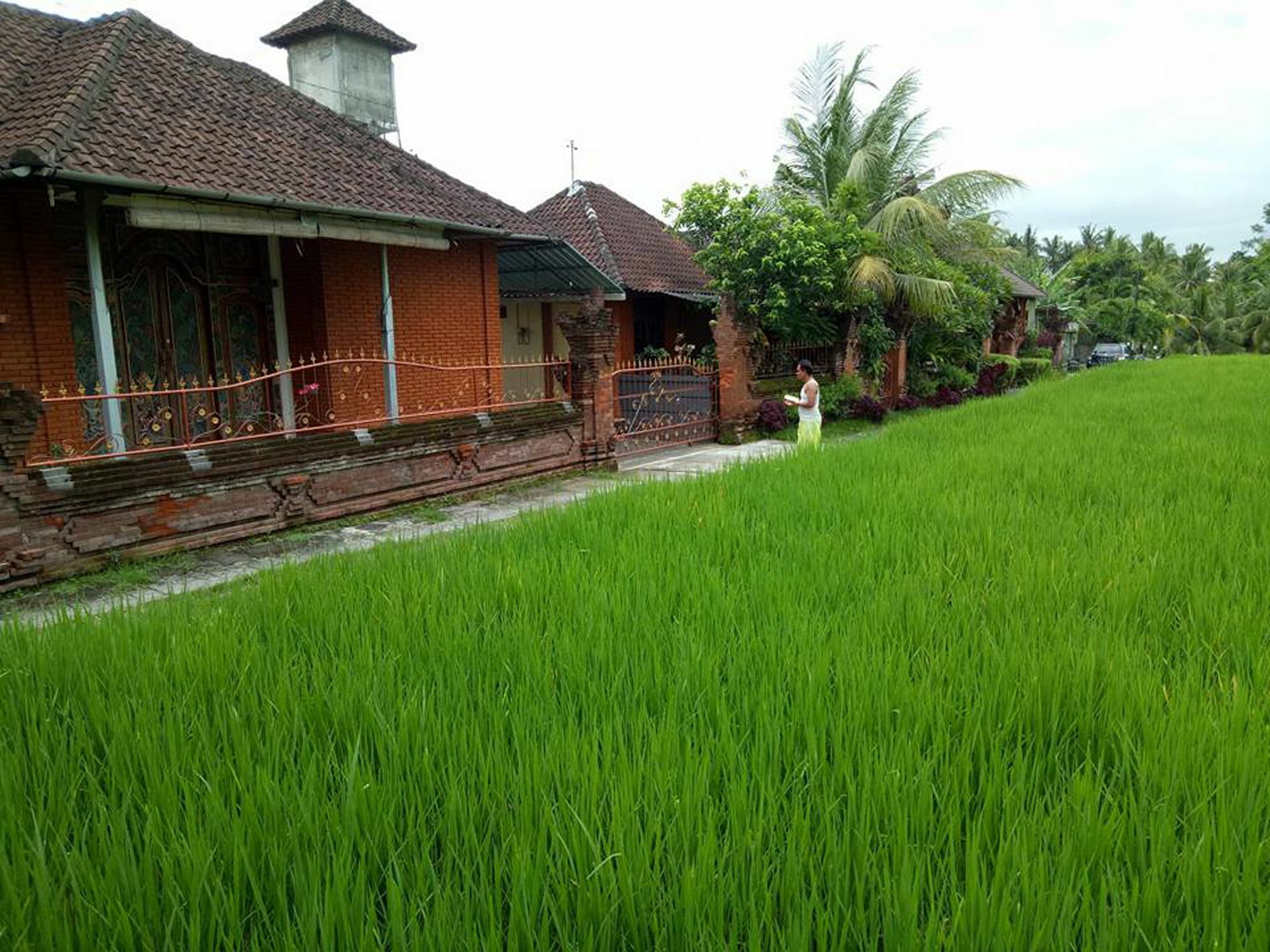 Tri Hita Karana House Hotel Mas  Exterior photo